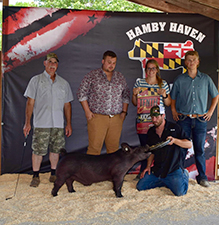 Hamby Haven Winners