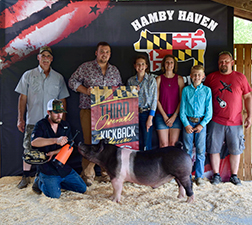 Hamby Haven Winners