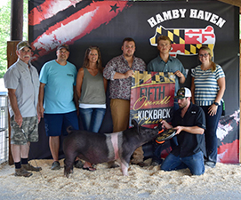 Hamby Haven Winners