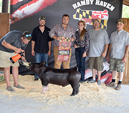 Hamby Haven Winners