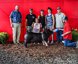 Hamby Haven Winners