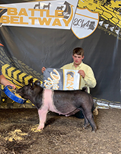 Hamby Haven Winners