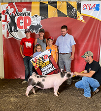 Hamby Haven Winners