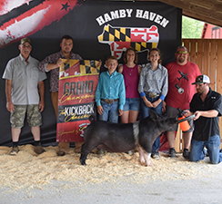 Hamby Haven Winners
