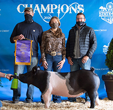 Hamby Haven Winners