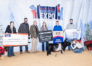Grand Breeding Gilt PAYLE