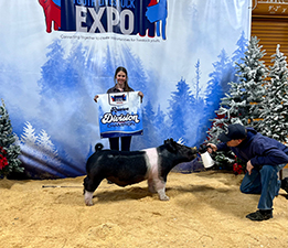 Reserve Champion Div 3 Market Hog PAYLE