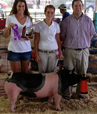 Hamby Haven Winners