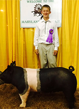 Hamby Haven Winners