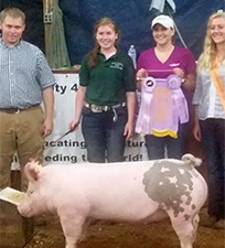 Hamby Haven Winners