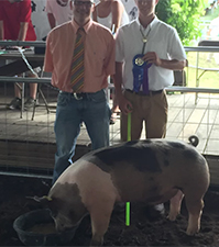 Hamby Haven Winners