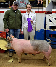 Hamby Haven Winners