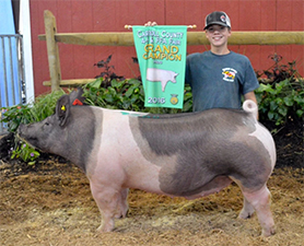 Hamby Haven Winners