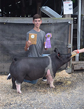 Hamby Haven Winners