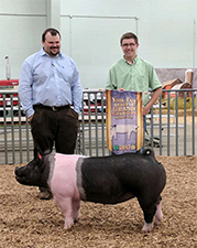 Hamby Haven Winers
