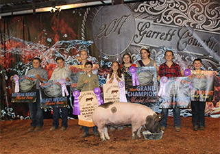 Hamby Haven Winners