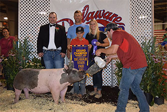 Hamby Haven Winners