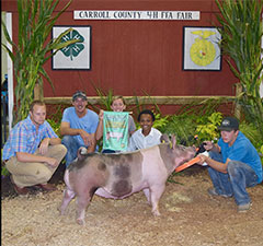 Hamby Haven Winners