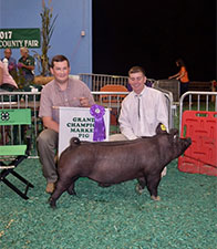 Hamby Haven Winners