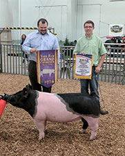 Hamby Haven Winners