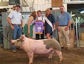 Hamby Haven Winners