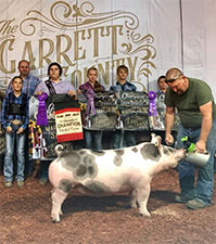 Hamby Haven Winners