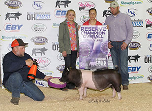 Hamby Haven Winners