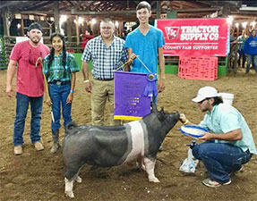 Hamby Haven Winners