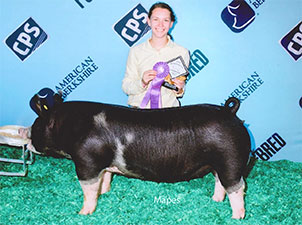 Hamby Haven Winners