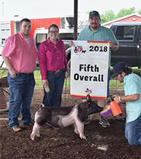 Hamby Haven Winners