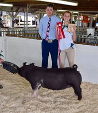 Hamby Haven Winners