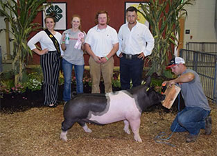 Hamby Haven Winners