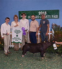 Hamby Haven Winners