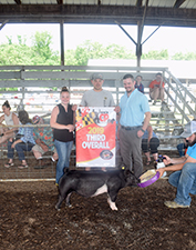 Hamby Haven Winners