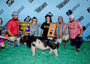 Hamby Haven Winners