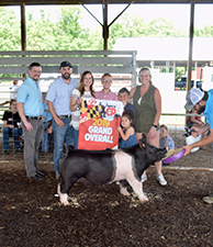 Hamby Haven Winners