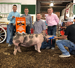 Hamby Haven Winners