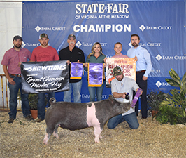 Hamby Haven Showpigs