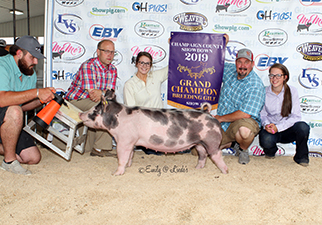Hamby Haven Winners