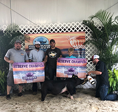 Hamby Haven Winners