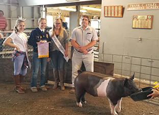 Hamby Haven Winners