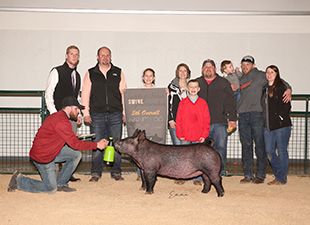 Hamby Haven Winners