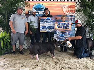 Hamby Haven Winners