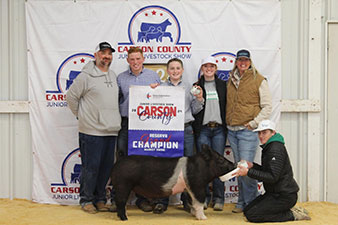 Grand Breeding Gilt PAYLE