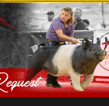 Hamby Haven Show Pigs