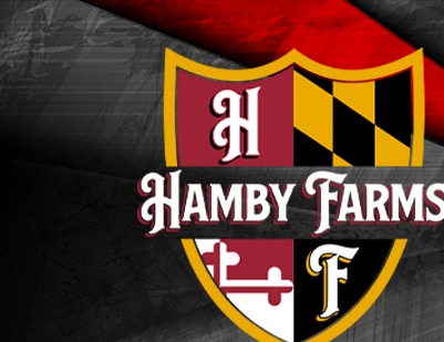 Hamby Haven Show Pigs