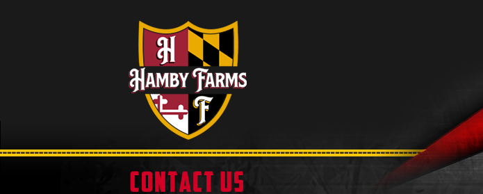 Hamby Haven Show Pigs