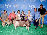 Hamby Haven Sows